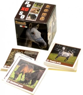 PEXESO BOX LUX KONĚ