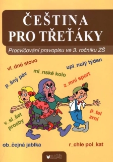 ČEŠTINA PRO TŘEŤÁKY