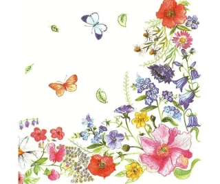 UBROUSKY DAISY L (20ks) BLOSSOM BORDER 021301
