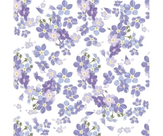 UBROUSKY DAISY L (20ks) FORGET ME NOTS  008101