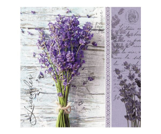 UBROUSKY DAISY L (20ks) LAVENDER BOUQUET 573000