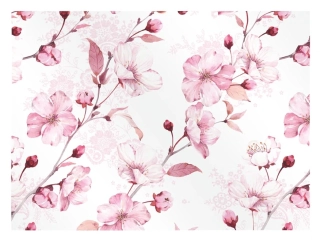 BALÍCÍ PAPÍR K332 100x70 LUX