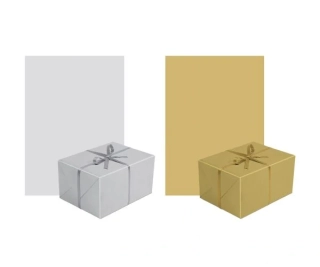 PAPÍR 0,7x2m MONOCOLOR SILVER/GOLD