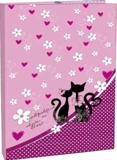 BOX NA SEŠITY A4 CATS LOVE