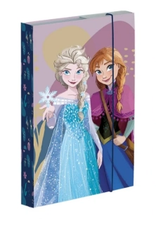 BOX NA SEŠITY A5 FROZEN