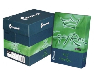 COPY PAPÍR A6 COPY REX 80g/500l BÍLÝ